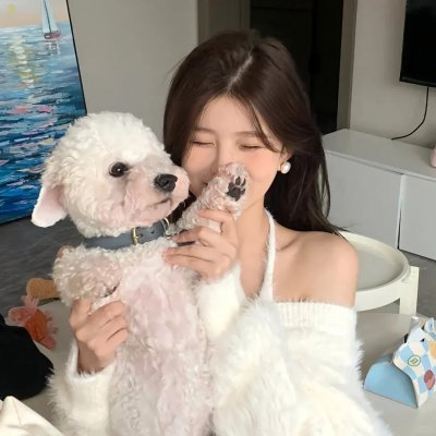 绵羊侦探团